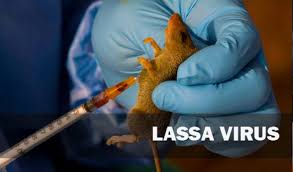 Lassa fever: Vaccine produced by Nigerian shows high potency -virologist