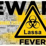 Expert stresses prevention against yellow fever, Lassa fever