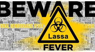 Expert stresses prevention against yellow fever, Lassa fever