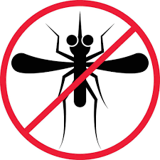 Lagos nears malaria elimination, set to become first in West Africa