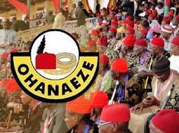 Ohanaeze lauds Tinubu for establishing 3 new tertiary institutions in South-East