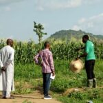 Organic food: Farmers seek FG support on markets, chemical use