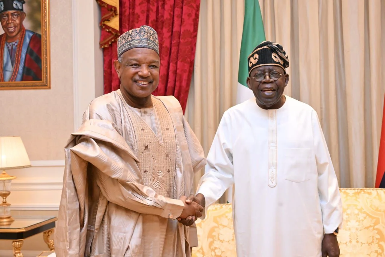 Economy back on track – Bagudu
