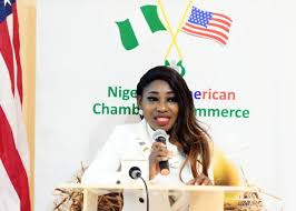 Nigeria yet to fully explore its technology potential – NACC