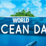 World Ocean Day: HOMEF, FishNet advocate protecting oceans to sustain planet