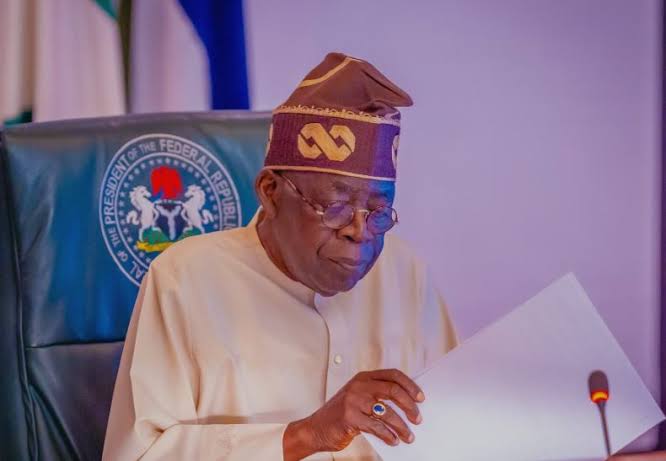 TSF commends FG’s N60bn livestock investment in Gombe