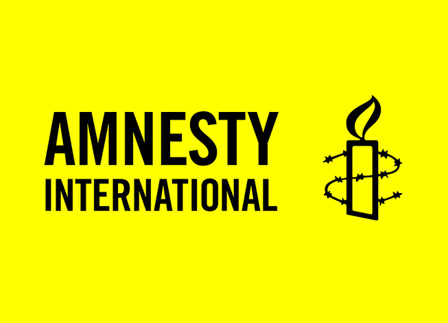 Group accuses Amnesty Intl. of exaggerating Nigeria’s security situation