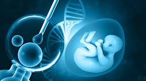 Conference: AI the future of IVF, flawless childbirth – Expert predicts