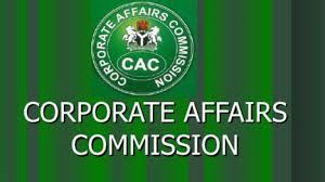 CAC says AI portal handles 11,000 daily transactions