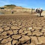 Stakeholders review drought, desertification policy to boost food security