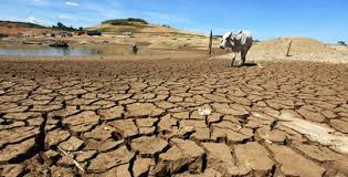 Stakeholders review drought, desertification policy to boost food security