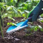Bauchi farmers lament rising cost of fertilisers
