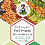 Nigeria unveils youth mapping report on food systems