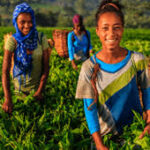 NGO empowers over 400 schoolgirls with agricultural and life skills across Lagos