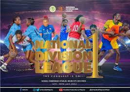 Handball: National Division One League to hold in Umuahia in August