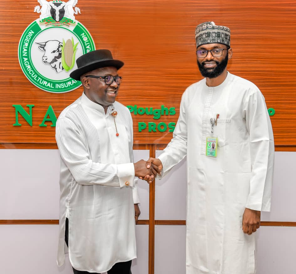 NOSDRA, NAIC partner for national dev’t