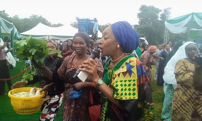 Every home a garden project a huge success in FCT – Coordinator 