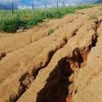 Land degradation impacts 40m Nigerians – FG