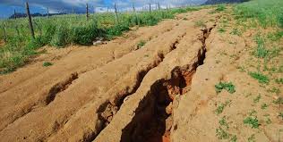 Land degradation impacts 40m Nigerians – FG