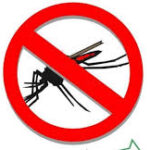 Imperative of autonomous agency for malaria eradication