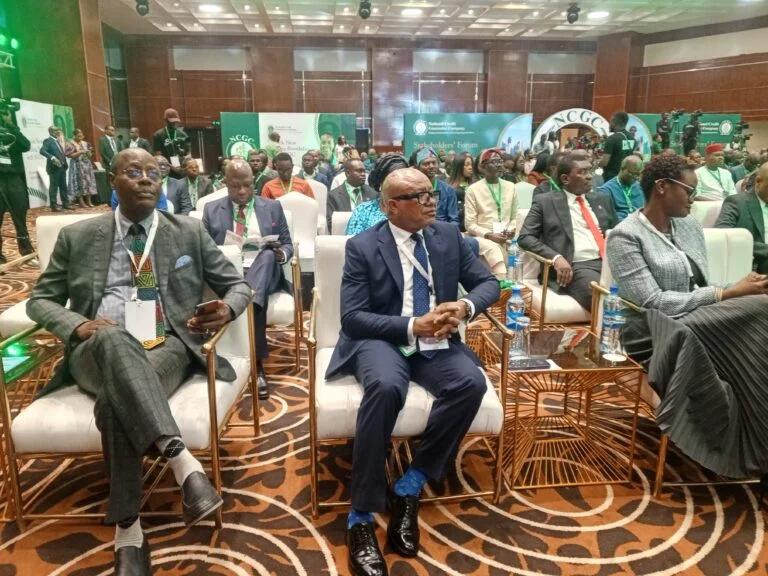 NCGC urges banks, others to build inclusive, resilient credit market