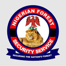 Forest security service backs Benue governor on arming forest guards