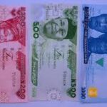Poor production quality responsible for quick mutilation of Naira notes – expert