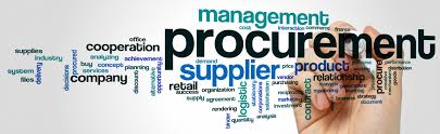 Capacity, welfare, justice will curb corruption in procurement — Expert