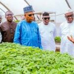 Nigeria maps 10-year youths-led agricultural renewal plan