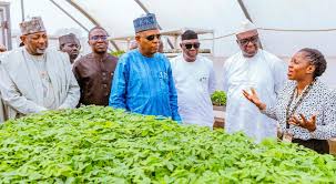 Nigeria maps 10-year youths-led agricultural renewal plan