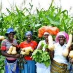 Stakeholders urge traditional rulers to grant women farmers access to farmlands