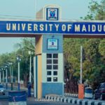Tinubu renames UNIMAID after Buhari