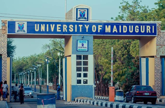 Tinubu renames UNIMAID after Buhari