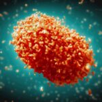 Mpox: 12 cases discovered in Ondo as vaccination commences