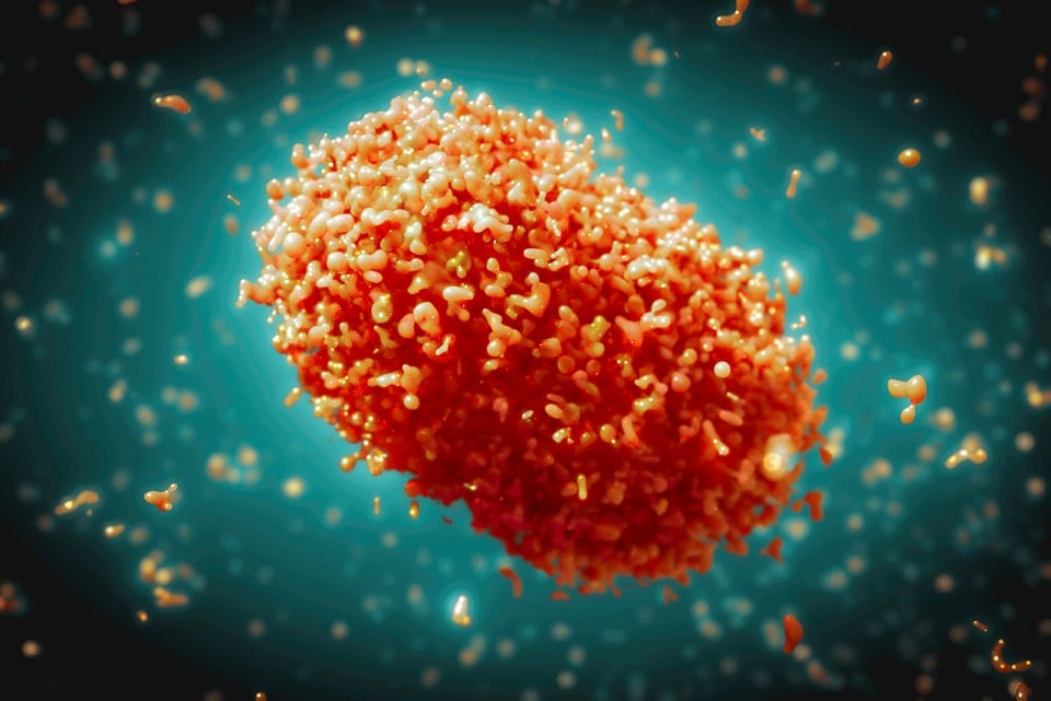 Mpox: 12 cases discovered in Ondo as vaccination commences