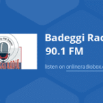 Minister calls for calm over suspension of Badeggi Radio