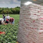 Sani distributes free fertiliser to 100,000 farmers, launches crop insurance scheme