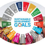 SDGs: UN, others harp on support for youth-led solutions