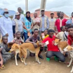 Rabies Day: Nigeria requires 70% vaccination of its dogs to contain transmission