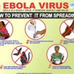 Ebola: Experts urge  reactivation of health surveillance system
