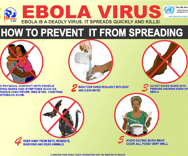 Ebola: Experts urge  reactivation of health surveillance system
