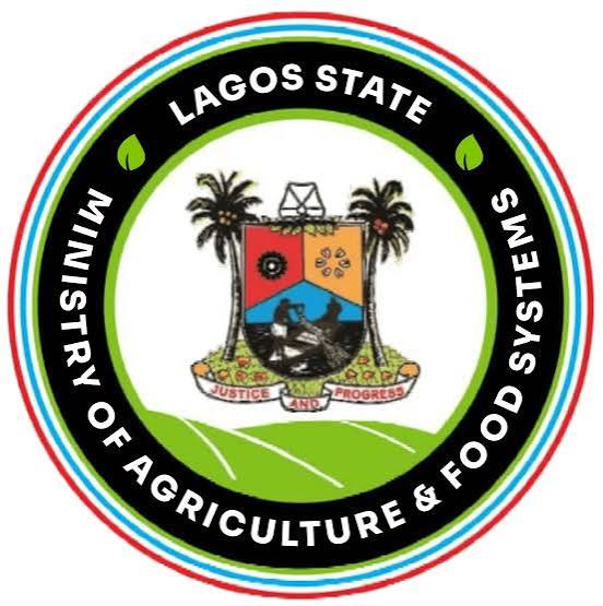 Lagos registers farmers under ‘Produce for Lagos’ programme   
