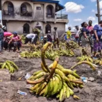 Stakeholders urge LASG to build warehouses, hubs for preserving produce
