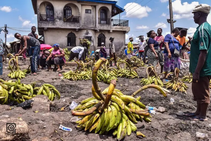 Stakeholders urge LASG to build warehouses, hubs for preserving produce