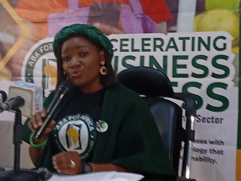 Accelerating Business Access project will solve human development crisis -Founder Accelerating Business Access project will solve human development crisis -Founder