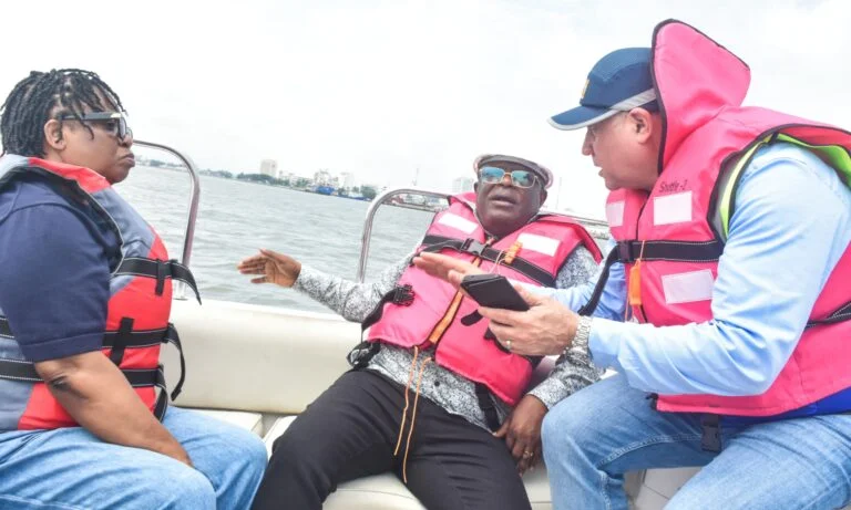 FG plans seamless highway connection via Snake Island tunnel