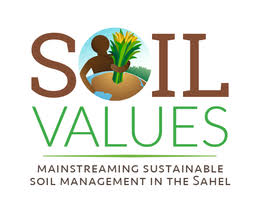 Soil Values project trains 50 extension agents, lead farmers in Bauchi
