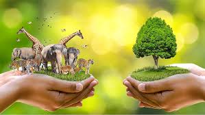 Nigeria, WJC Sign MoU on Wildlife Protection