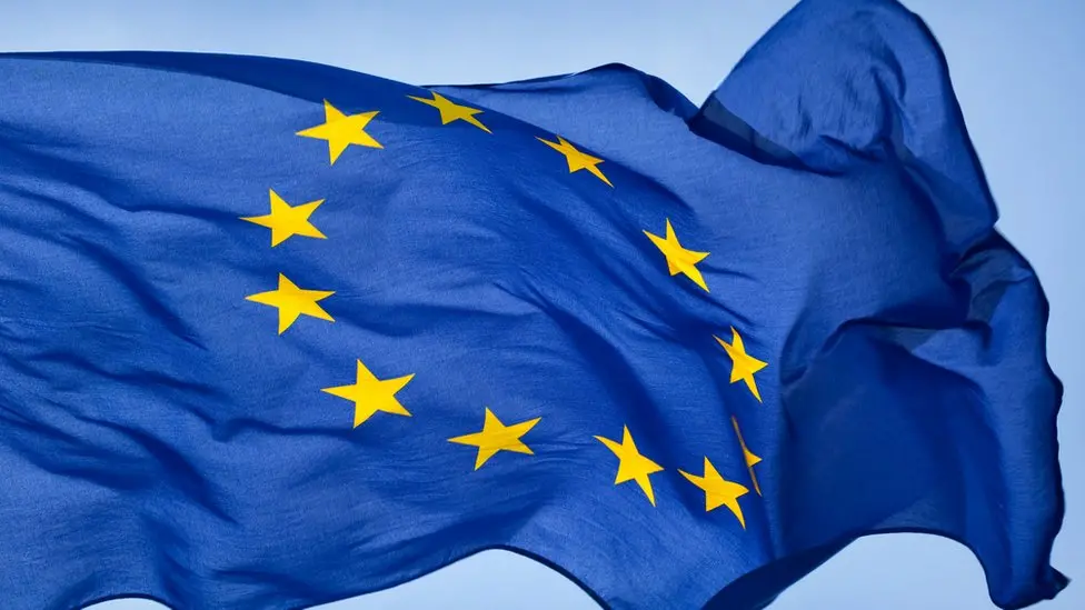 EU Commission probes U.S. social media