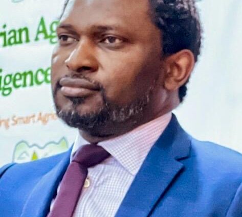 NAIP, Nigeria’s agric revolution game-changer, says Pixels MD